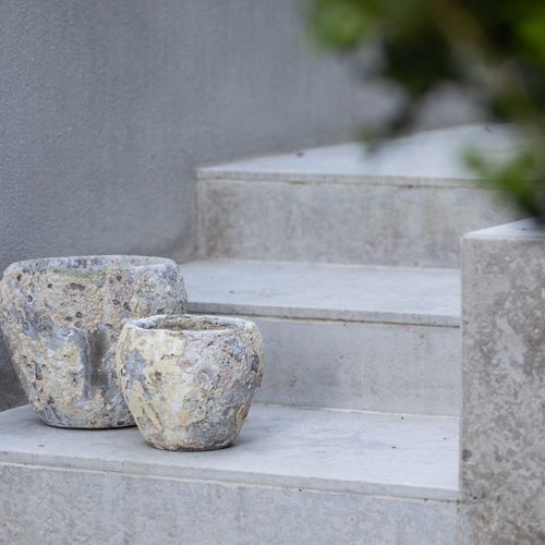 Atlantis - Juliet Planter
