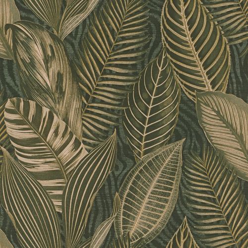 African Queen III Wallpaper (No. 751826)