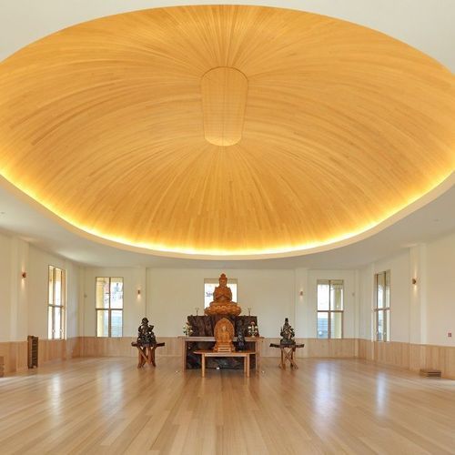 American Hard Maple