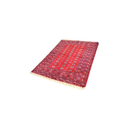 Mauri Turkoman Rug 174x129cm