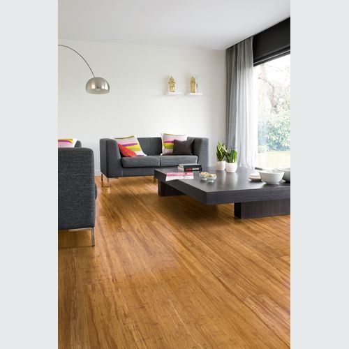 Arc Bamboo Champagne Bamboo Flooring