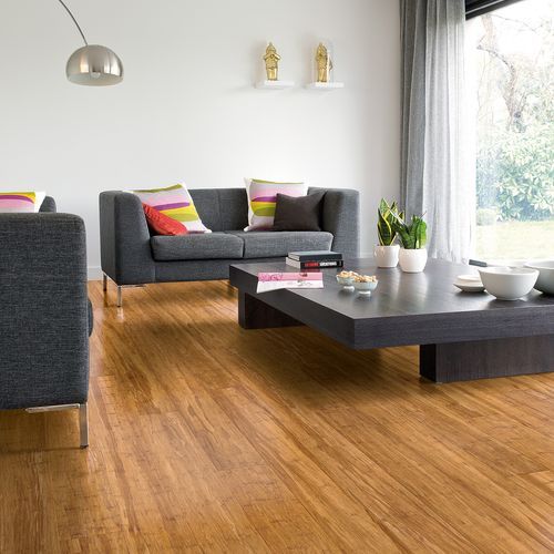 Arc Bamboo Champagne Bamboo Flooring