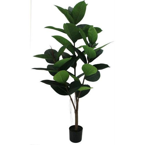 Potted Ficus Tree 121cm