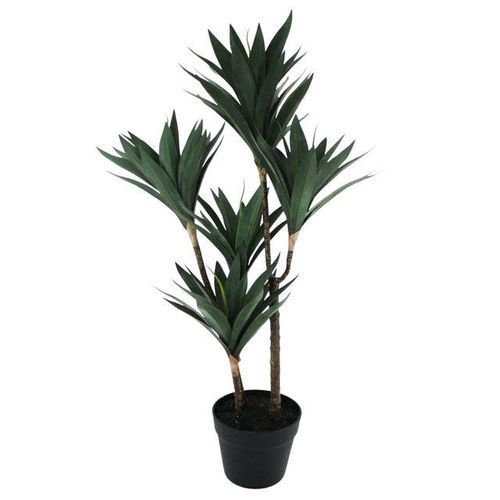 Yucca Quintet Potted Tree