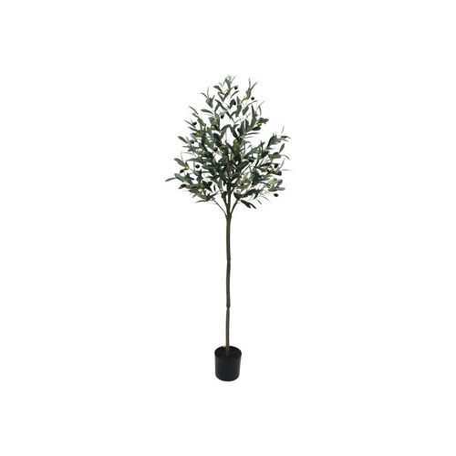 Potted Trim Olive Tree 153cm