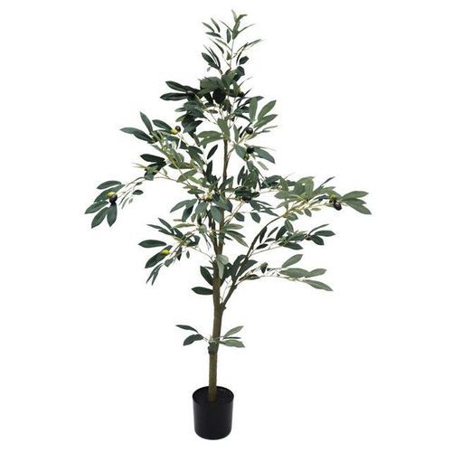 Potted Full Olive Tree 122cm