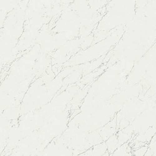 Marvel Carrara Pol XL Marble Tile