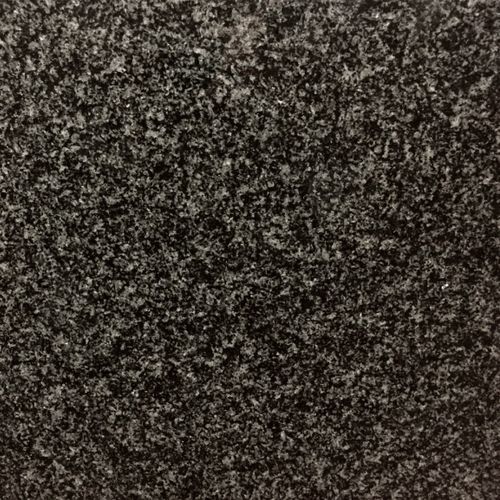 Africa Grey