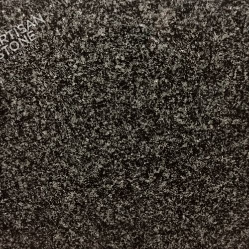 Africa Grey