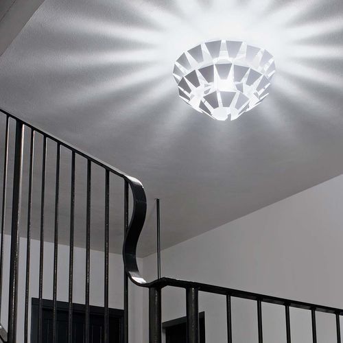 Agave Ceiling and Wall Light