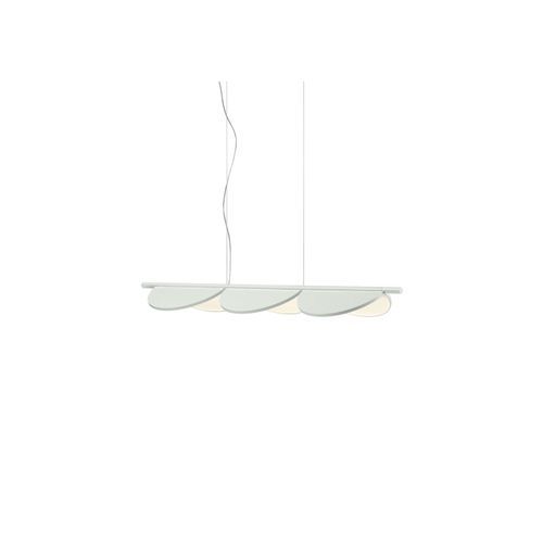 Almendra Linear