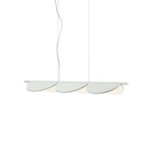 Almendra Linear