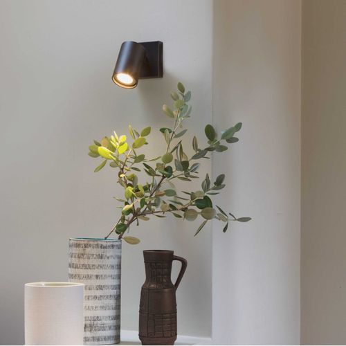 Ascoli Single Surface