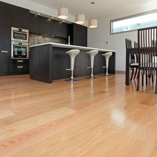 American Red Oak