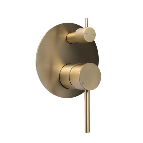 Mira Brushed Brass Gold Wall Mixer Divertor Plate
