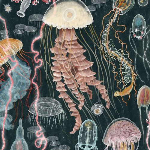 Designer Collective (No. 66135)