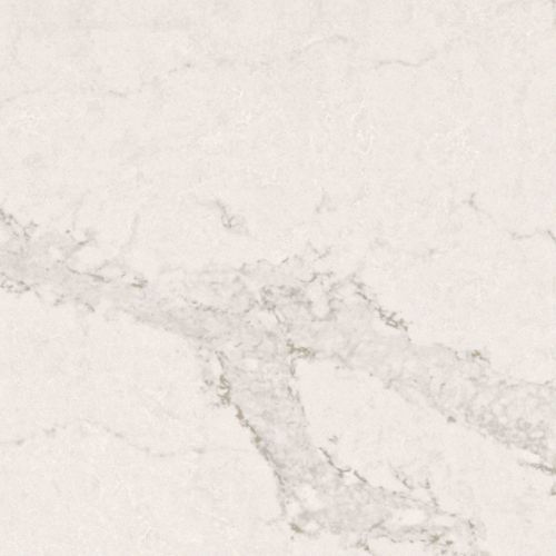 Calacatta Nuvo
