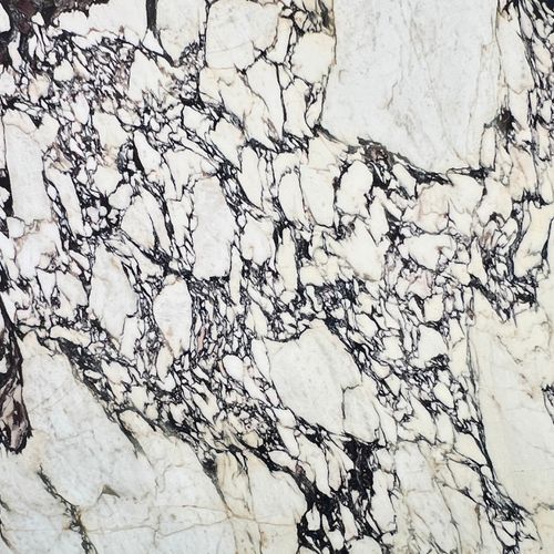 Calacatta Viola Extra | Calacatta Collection | Honed