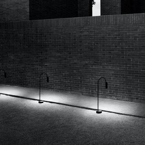 Caule Bollard