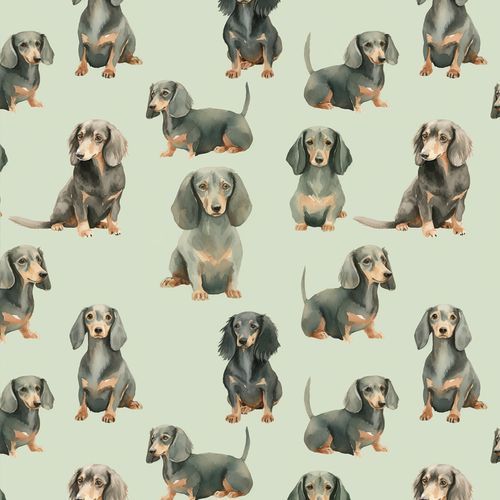 Hey Poppit Wallpaper No. Banjo