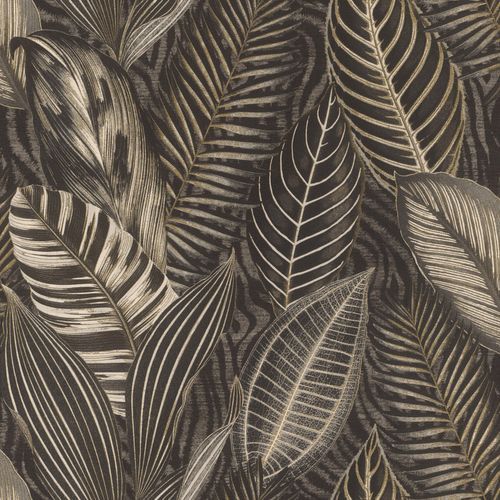 African Queen III Wallpaper (No. 751833)