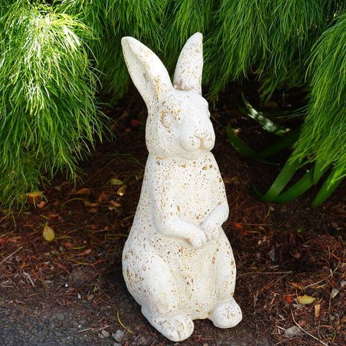 Timeless Rabbit