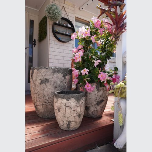 Aged Broken Pot