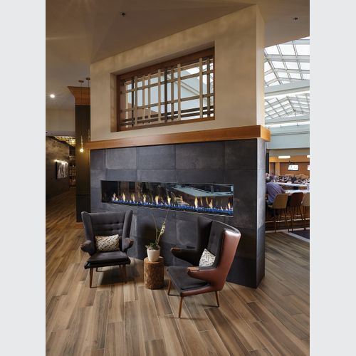 Davinci See Thru Gas Fireplace