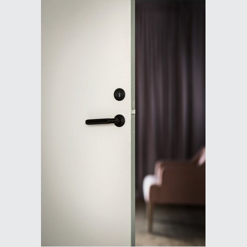 Door Lever Handle