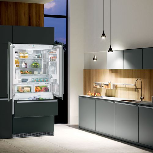 ECBN 6256 PremiumPlus | Fully Integrated French Door Fridge