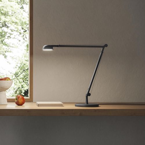 Opuntia Table Lamp