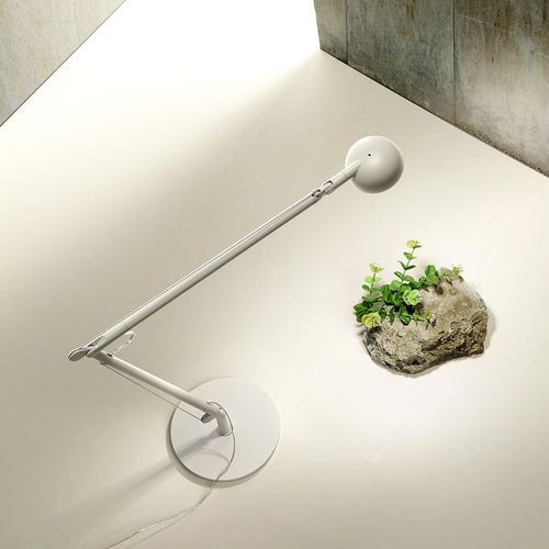 Opuntia Wall & Ceiling Lamp