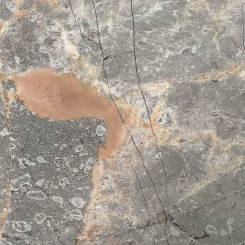 Fior Di Bosco