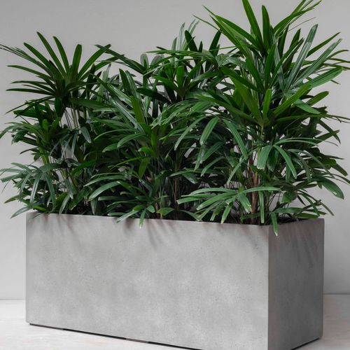 Duralite Trough