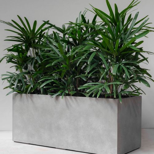 Duralite Trough