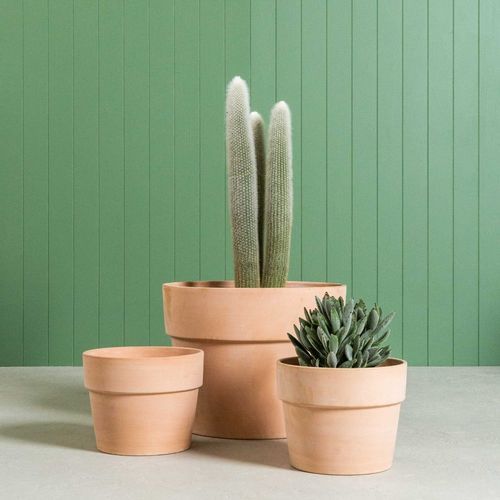 Terracotta Perfetto