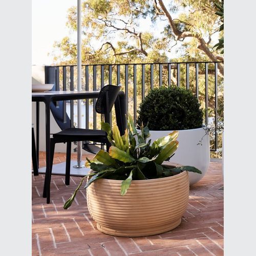 Handthrown Terracotta Coil Low