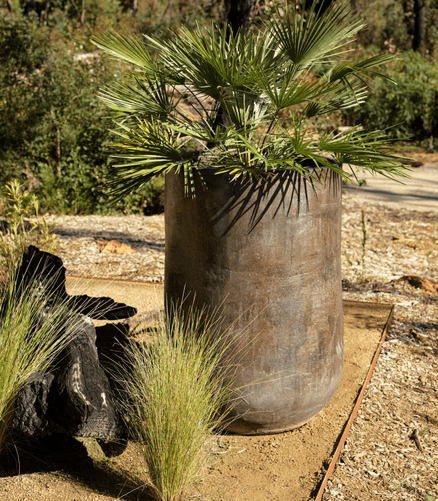 Woodfired Tall Bullet