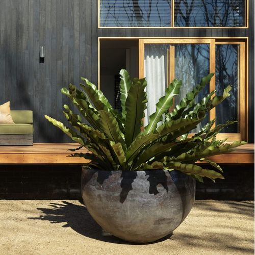Woodfired Deep Bowl