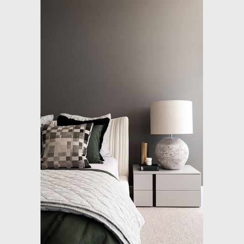 Shellon In Bed Collection