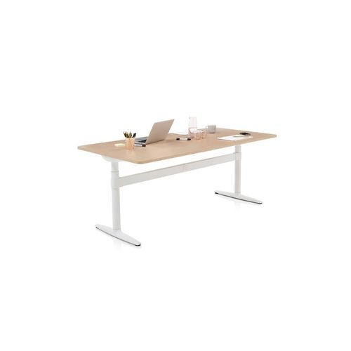 Atlas Sit to Stand Desk
