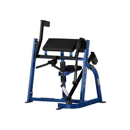 Seated Biceps