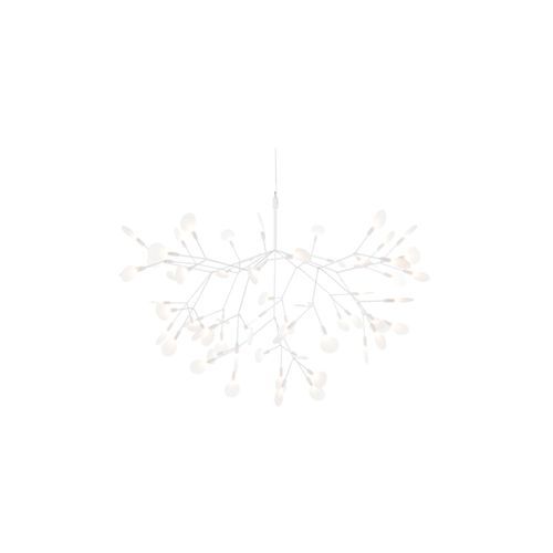 Heracleum III Large