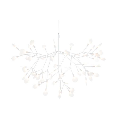 Heracleum III Large