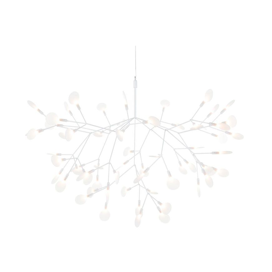 Heracleum III Large