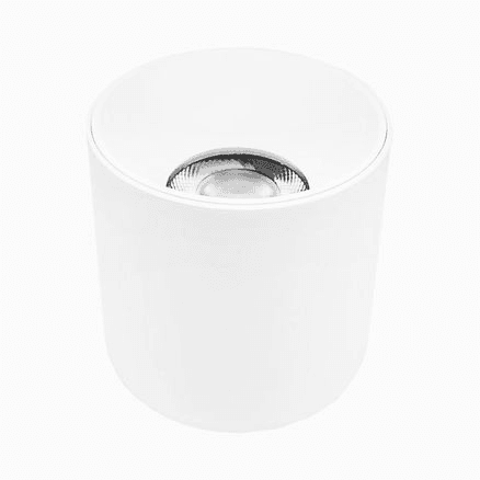 Mason Surface Mount Light