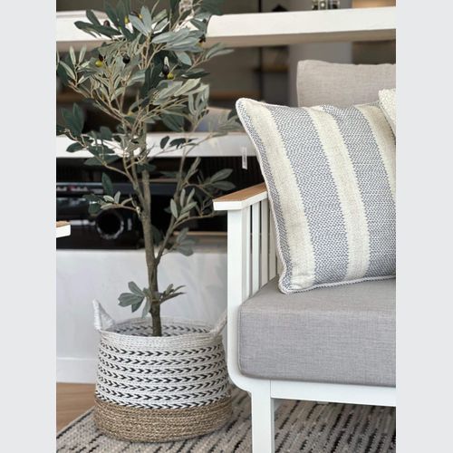 Potted Full Olive Tree 122cm