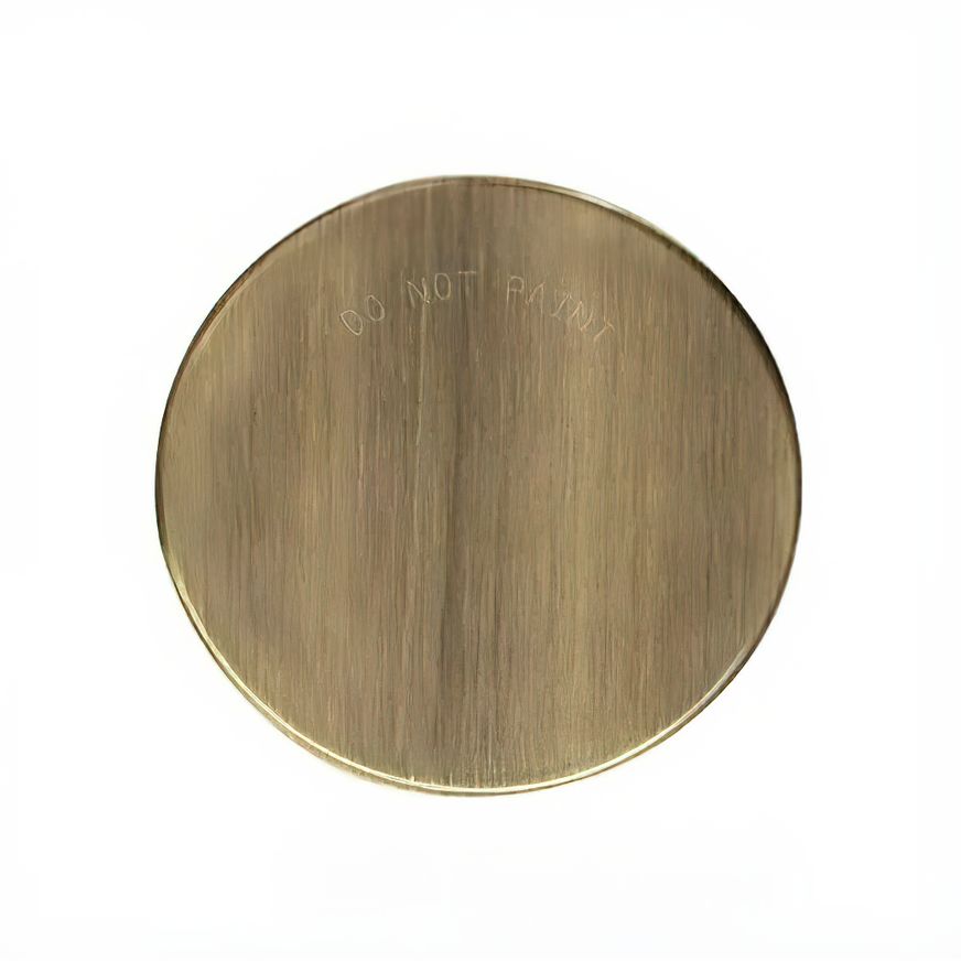 Sprinkler Cover Plate | Brushed Brass