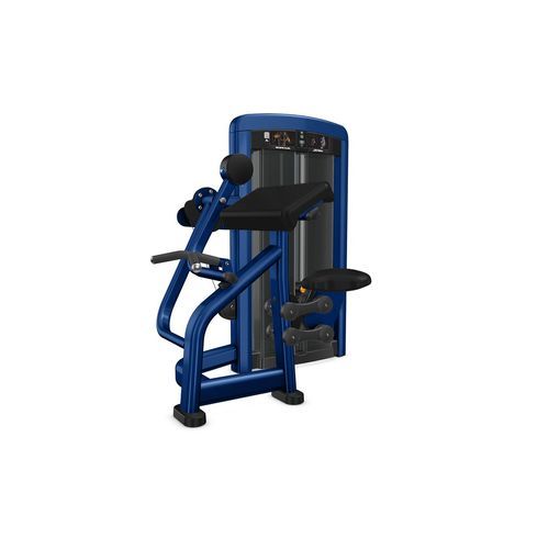 Insignia | Biceps Curl Dependent