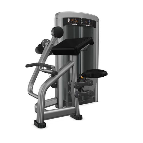 Insignia | Biceps Curl Dependent